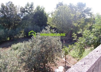 Foto 13 - Casa indipendente VIA DELLA CARANELLA, Velletri - foto 13