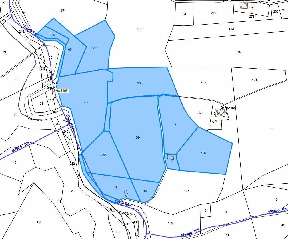 Foto 1 - Terreno agricolo via dei colli
 
snc, Montottone - foto 1
