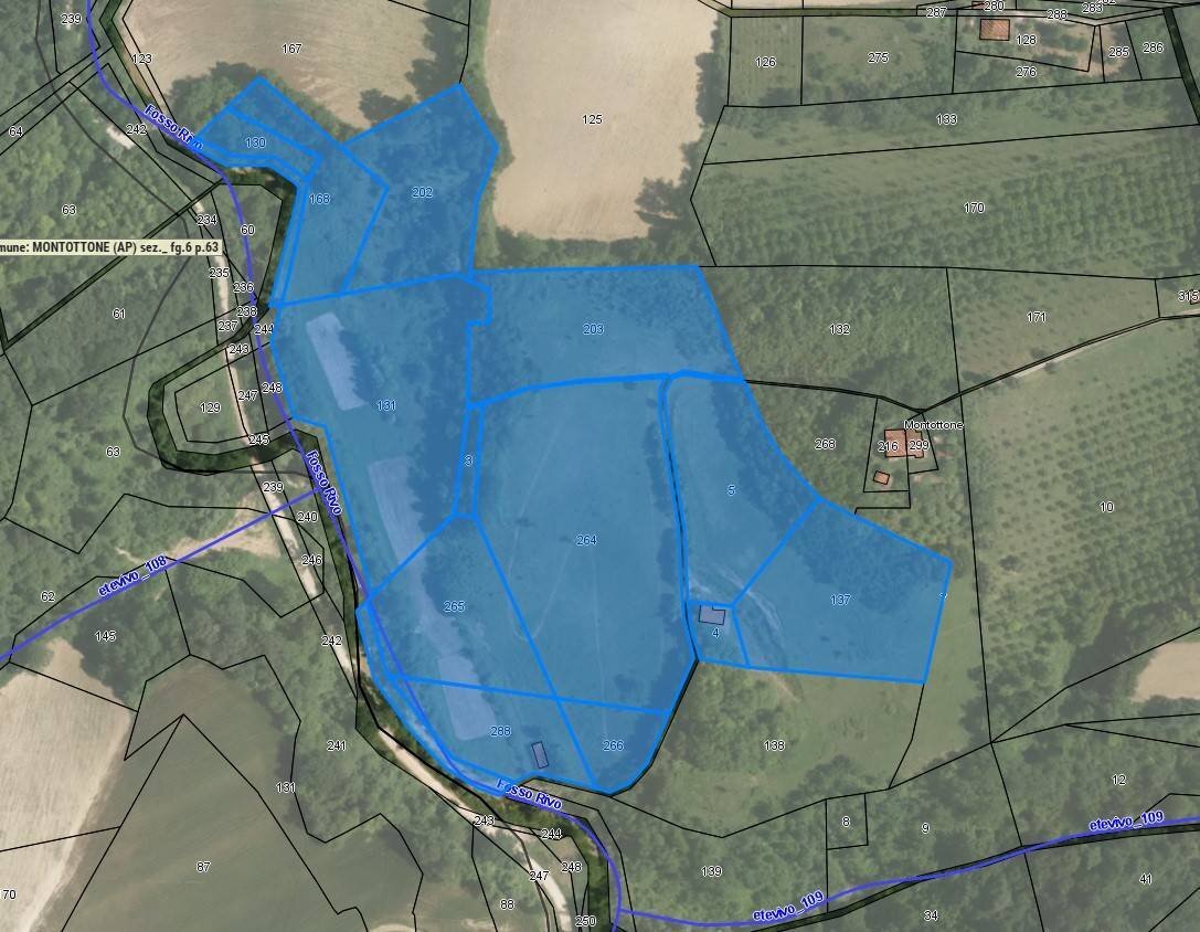 Foto 2 - Terreno agricolo via dei colli
 
snc, Montottone - foto 2