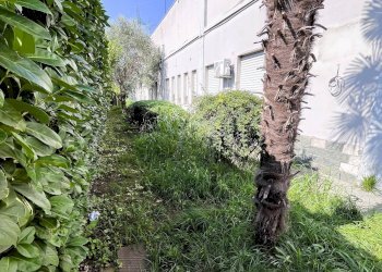 Foto 16 - Capannone Settimo Milanese - foto 16