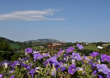 Foto 71 - Villa Località cese, Montefortino - foto 71