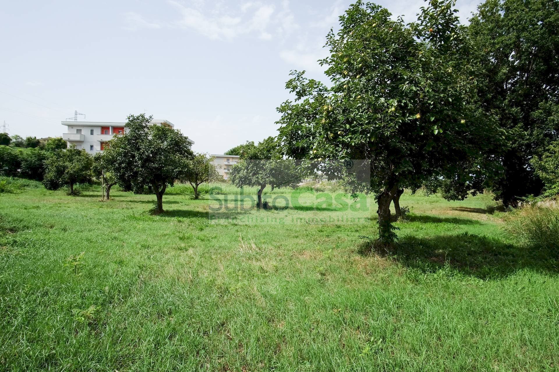 Foto 3 - Terreno edificabile Viale Europa, San Giovanni Teatino - foto 3