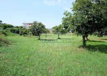 Foto 2 - Terreno edificabile Viale Europa, San Giovanni Teatino - foto 2