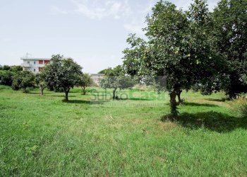 Foto 3 - Terreno edificabile Viale Europa, San Giovanni Teatino - foto 3