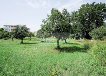Foto 4 - Terreno edificabile Viale Europa, San Giovanni Teatino - foto 4