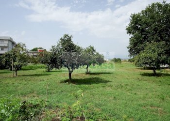 Foto 12 - Terreno edificabile Viale Europa, San Giovanni Teatino - foto 12