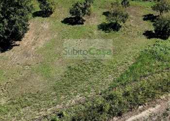 Foto 16 - Terreno edificabile Viale Europa, San Giovanni Teatino - foto 16