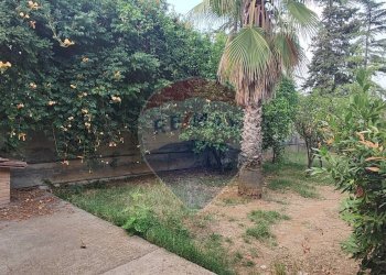 Giardino - Villa VIA PIER SANTI MATTARELLA
 
27, Caltagirone - foto 54