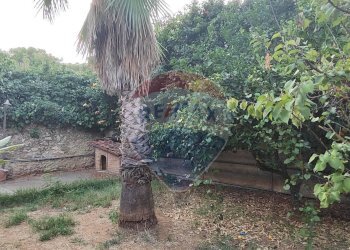 Giardino - Villa VIA PIER SANTI MATTARELLA
 
27, Caltagirone - foto 55