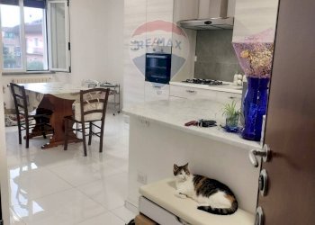 Cucina - Trilocale via Calabria
 
2, Pavia - foto 4