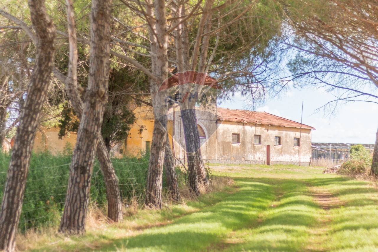 Casa all\'aperto - Rustic CH9C+QG, 01014 Montalto di Castro VT, Montalto di Castro - photo 2