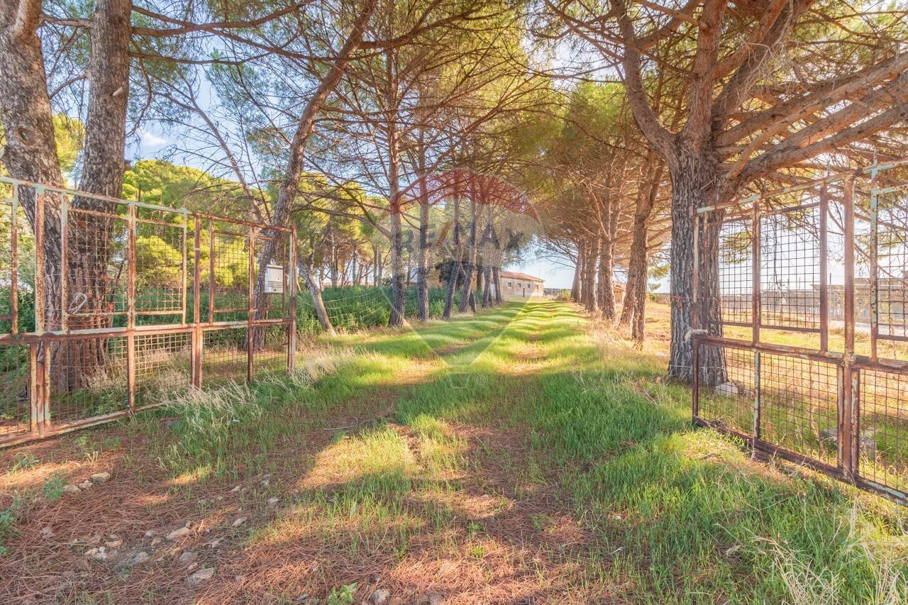 Giardino - Rustic CH9C+QG, 01014 Montalto di Castro VT, Montalto di Castro - photo 3