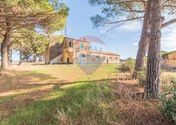 Casa all\'aperto - Rustico CH9C+QG, 01014 Montalto di Castro VT, Montalto di Castro - foto 1