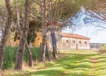 Casa all\'aperto - Rustico CH9C+QG, 01014 Montalto di Castro VT, Montalto di Castro - foto 2