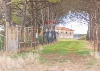 Giardino - Rustico CH9C+QG, 01014 Montalto di Castro VT, Montalto di Castro - foto 4