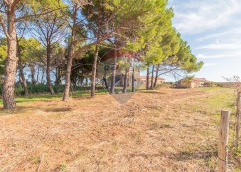 Giardino - Rustico CH9C+QG, 01014 Montalto di Castro VT, Montalto di Castro - foto 6