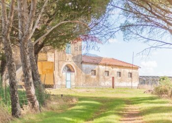 Casa all\'aperto - Rustico CH9C+QG, 01014 Montalto di Castro VT, Montalto di Castro - foto 7