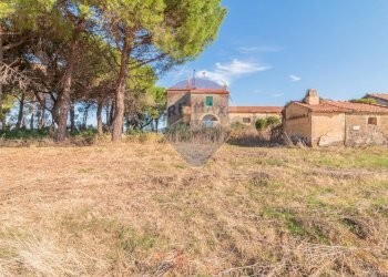 Giardino - Rustico CH9C+QG, 01014 Montalto di Castro VT, Montalto di Castro - foto 8