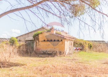 Casa all\'aperto - Rustico CH9C+QG, 01014 Montalto di Castro VT, Montalto di Castro - foto 14