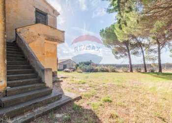 Giardino - Rustico CH9C+QG, 01014 Montalto di Castro VT, Montalto di Castro - foto 15