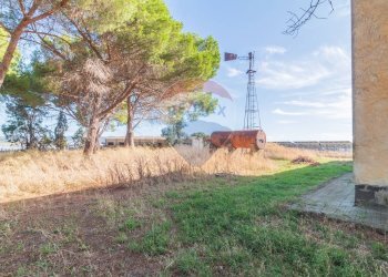 Giardino - Rustico CH9C+QG, 01014 Montalto di Castro VT, Montalto di Castro - foto 17