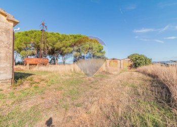 Giardino - Rustico CH9C+QG, 01014 Montalto di Castro VT, Montalto di Castro - foto 18