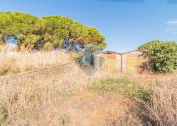 Non correlato - Rustico CH9C+QG, 01014 Montalto di Castro VT, Montalto di Castro - foto 19