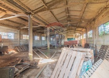 Non correlato - Rustico CH9C+QG, 01014 Montalto di Castro VT, Montalto di Castro - foto 20