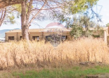 Casa all\'aperto - Rustico CH9C+QG, 01014 Montalto di Castro VT, Montalto di Castro - foto 21