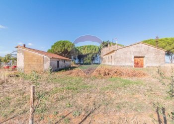 Casa all\'aperto - Rustico CH9C+QG, 01014 Montalto di Castro VT, Montalto di Castro - foto 23