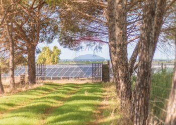 Giardino - Rustico CH9C+QG, 01014 Montalto di Castro VT, Montalto di Castro - foto 28