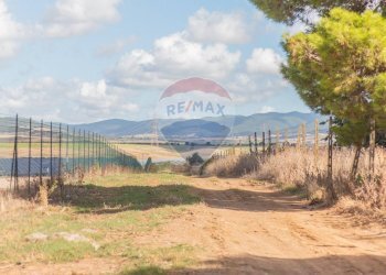 Vista delle montagne - Rustico CH9C+QG, 01014 Montalto di Castro VT, Montalto di Castro - foto 29