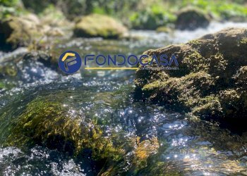 Foto 22 - Stable - Palace VIA CITTADELLA, Carpinone - photo 22