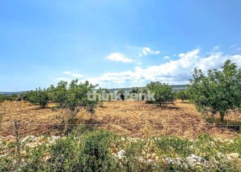 Foto 55 - Villa Str.scala di Gemmazza, Canicattini Bagni - foto 55