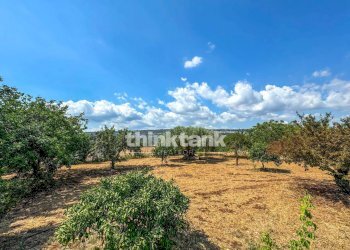 Foto 59 - Villa Str.scala di Gemmazza, Canicattini Bagni - foto 59