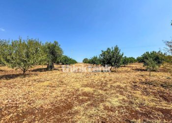 Foto 61 - Villa Str.scala di Gemmazza, Canicattini Bagni - foto 61