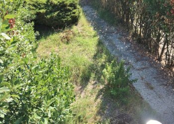 Foto 5 - Warehouse Camaiore - photo 5