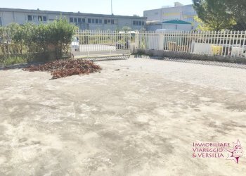 Foto 8 - Warehouse Camaiore - photo 8