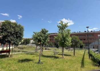 Foto 3 - Commercial Premises via Napoleone Bonaparte
 
98, Firenze - photo 3