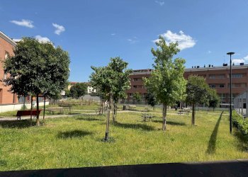 Foto 16 - Commercial Premises via Napoleone Bonaparte
 
98, Firenze - photo 16