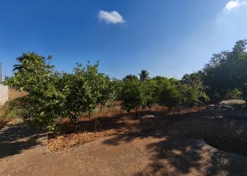 Foto 28 - Villa Strada Provinciale 361, Gallipoli - foto 28