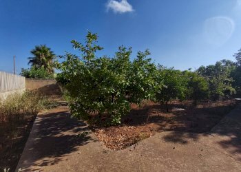 Foto 30 - Villa Strada Provinciale 361, Gallipoli - foto 30