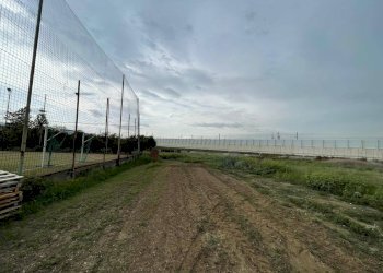 Foto 6 - Agricultural land Via Lima, Maddaloni - photo 6