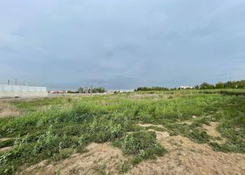 Foto 7 - Agricultural land Via Lima, Maddaloni - photo 7