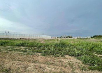 Foto 10 - Agricultural land Via Lima, Maddaloni - photo 10