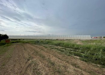 Foto 12 - Agricultural land Via Lima, Maddaloni - photo 12