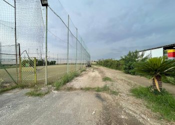 Foto 16 - Agricultural land Via Lima, Maddaloni - photo 16