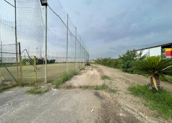 Foto 17 - Agricultural land Via Lima, Maddaloni - photo 17