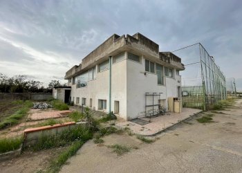 Foto 20 - Agricultural land Via Lima, Maddaloni - photo 20