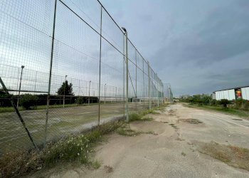 Foto 23 - Agricultural land Via Lima, Maddaloni - photo 23